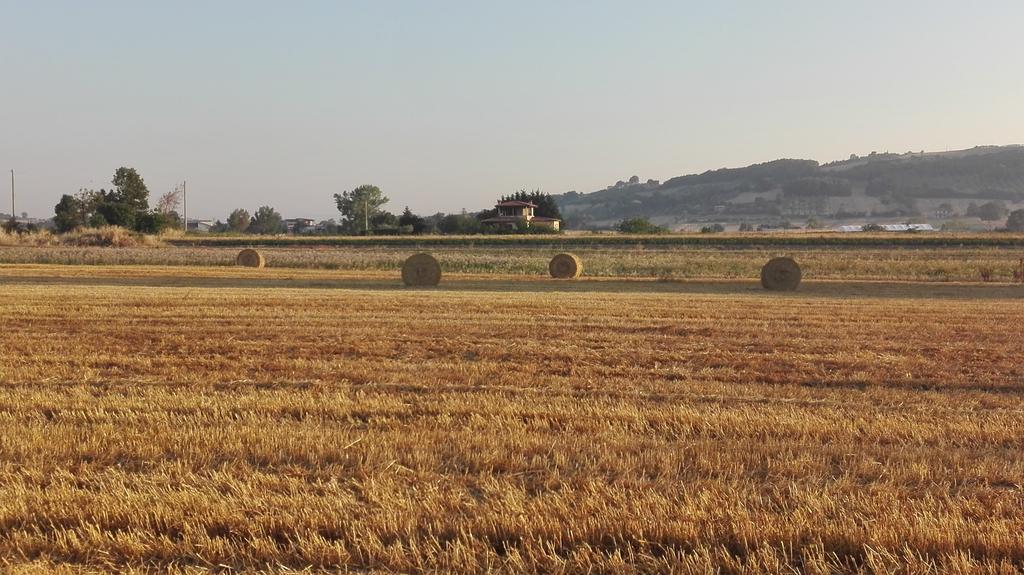 Willa Agriturismo La Vecchia Cascina Di Paolo & Belinda Pietrelcina Zewnętrze zdjęcie