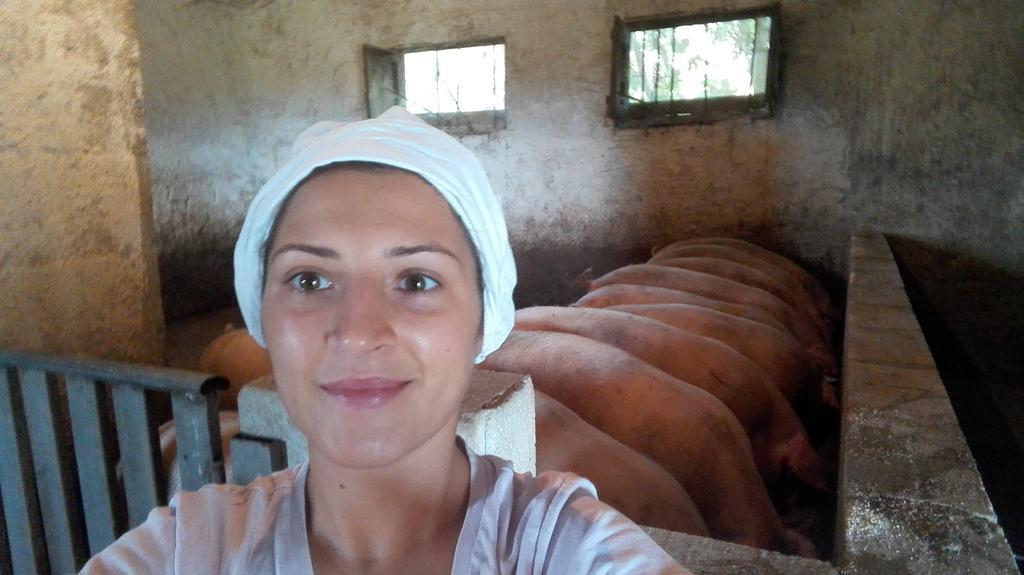 Willa Agriturismo La Vecchia Cascina Di Paolo & Belinda Pietrelcina Zewnętrze zdjęcie